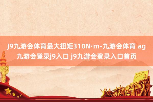 J9九游会体育最大扭矩310N·m-九游会体育 ag九游会登录j9入口 j9九游会登录入口首页