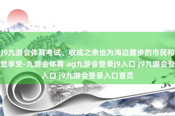 J9九游会体育考试、收成之余也为海边踱步的市民和旅客带来视觉享受-九游会体育 ag九游会登录j9入口 j9九游会登录入口首页