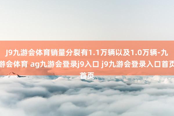 J9九游会体育销量分裂有1.1万辆以及1.0万辆-九游会体育 ag九游会登录j9入口 j9九游会登录入口首页