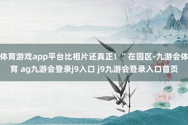 体育游戏app平台比相片还真正！”在园区-九游会体育 ag九游会登录j9入口 j9九游会登录入口首页