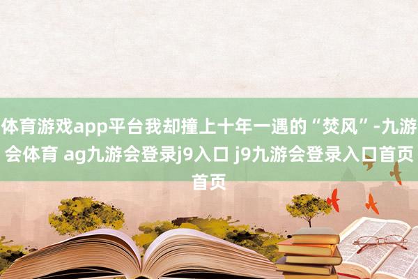 体育游戏app平台我却撞上十年一遇的“焚风”-九游会体育 ag九游会登录j9入口 j9九游会登录入口首页