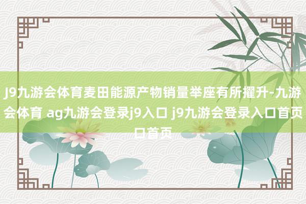 J9九游会体育麦田能源产物销量举座有所擢升-九游会体育 ag九游会登录j9入口 j9九游会登录入口首页