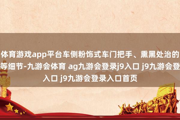 体育游戏app平台车侧粉饰式车门把手、熏黑处治的多边形轮眉等细节-九游会体育 ag九游会登录j9入口 j9九游会登录入口首页
