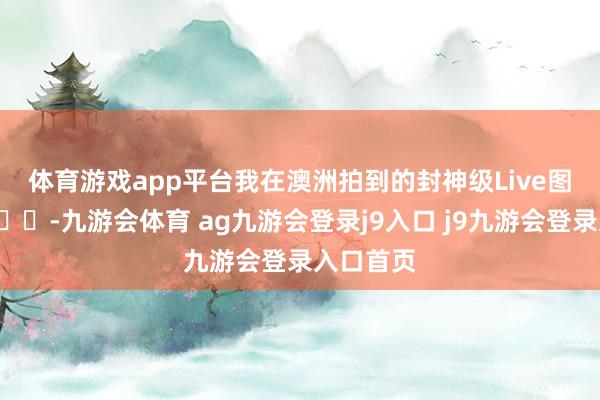体育游戏app平台我在澳洲拍到的封神级Live图！！🌊-九游会体育 ag九游会登录j9入口 j9九游会登录入口首页