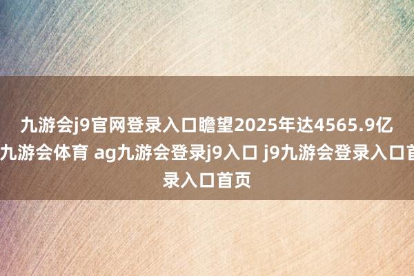 九游会j9官网登录入口瞻望2025年达4565.9亿元-九游会体育 ag九游会登录j9入口 j9九游会登录入口首页