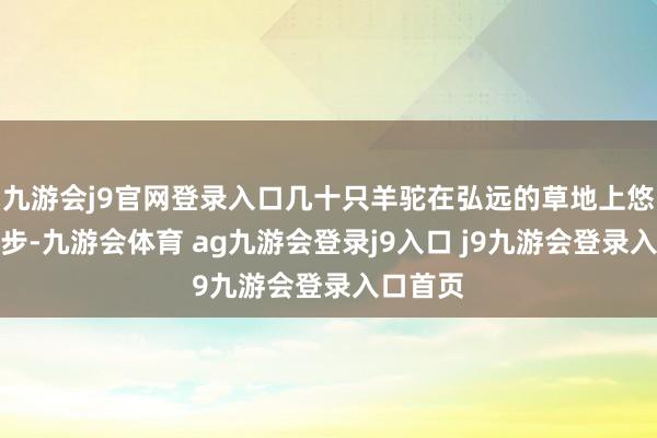 九游会j9官网登录入口几十只羊驼在弘远的草地上悠然地散步-九游会体育 ag九游会登录j9入口 j9九游会登录入口首页
