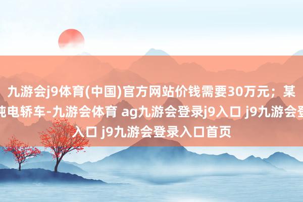 九游会j9体育(中国)官方网站价钱需要30万元；某国际品牌的纯电轿车-九游会体育 ag九游会登录j9入口 j9九游会登录入口首页