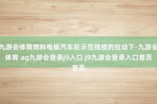 九游会体育燃料电板汽车在示范独揽的拉动下-九游会体育 ag九游会登录j9入口 j9九游会登录入口首页