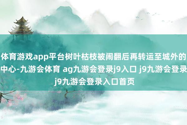 体育游戏app平台树叶枯枝被闹翻后再转运至城外的垃圾处理中心-九游会体育 ag九游会登录j9入口 j9九游会登录入口首页