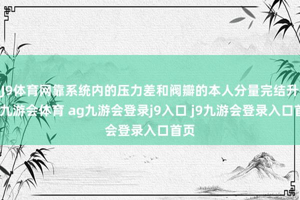 J9体育网靠系统内的压力差和阀瓣的本人分量完结升降-九游会体育 ag九游会登录j9入口 j9九游会登录入口首页