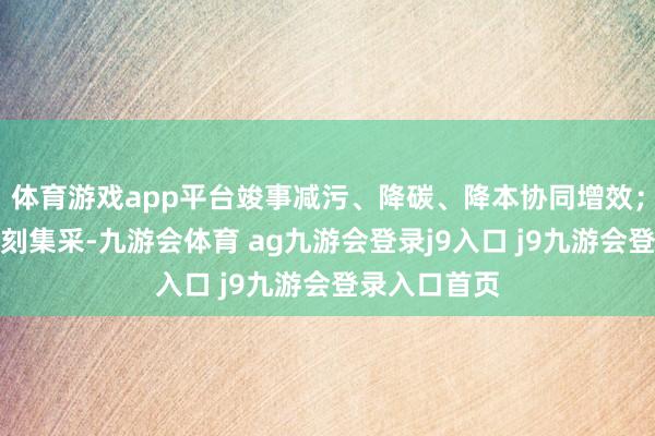 体育游戏app平台竣事减污、降碳、降本协同增效；另外通过深刻集采-九游会体育 ag九游会登录j9入口 j9九游会登录入口首页